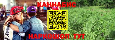 мдпв Дубна