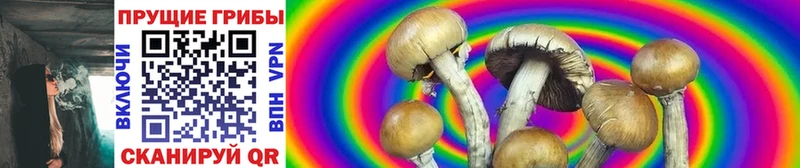 Псилоцибиновые грибы Psilocybe ОМГ ОМГ как войти Сызрань купить наркоту