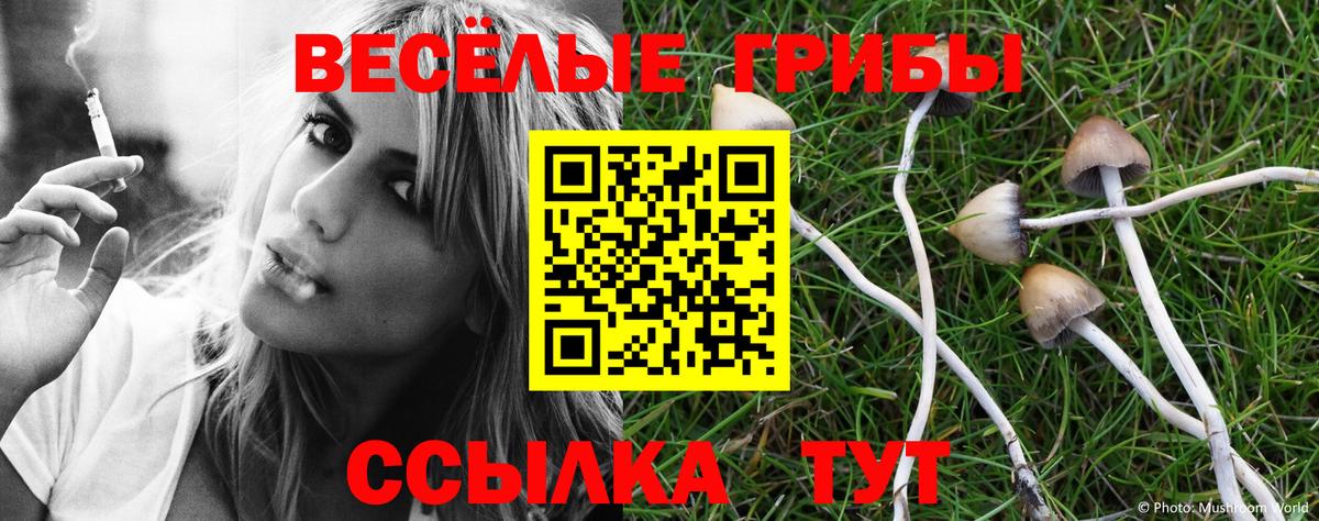 Псилоцибиновые грибы Cubensis Сызрань