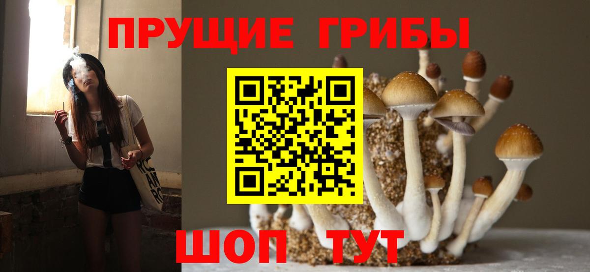 Псилоцибиновые грибы мицелий  купить закладку  Сызрань  Вход с VPN  Псилоцибиновые грибы MAGIC MUSHROOMS 